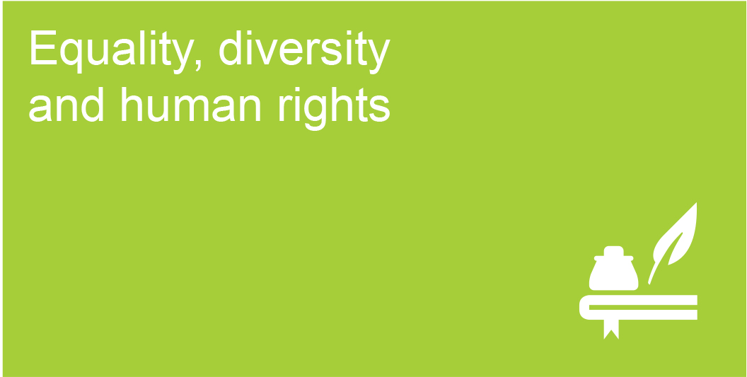 Diversity rights and equality essay