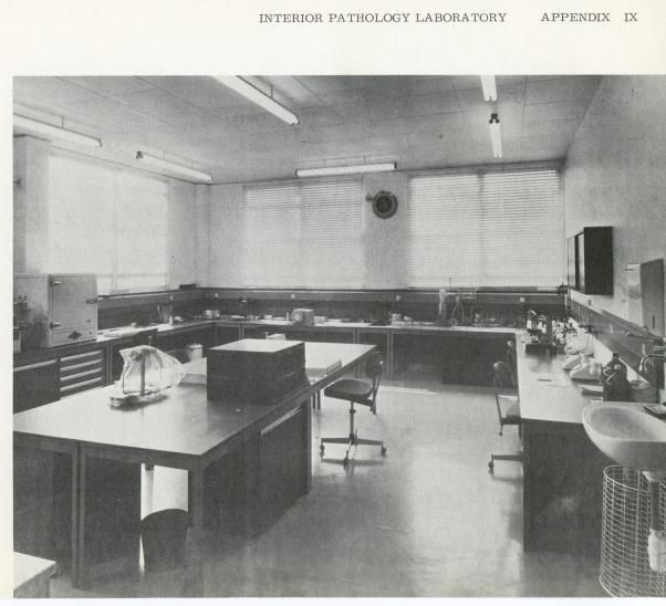 interiorPathologyLaboratory