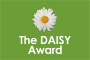 Green background with an image of a daisy with the title The Daisy Award